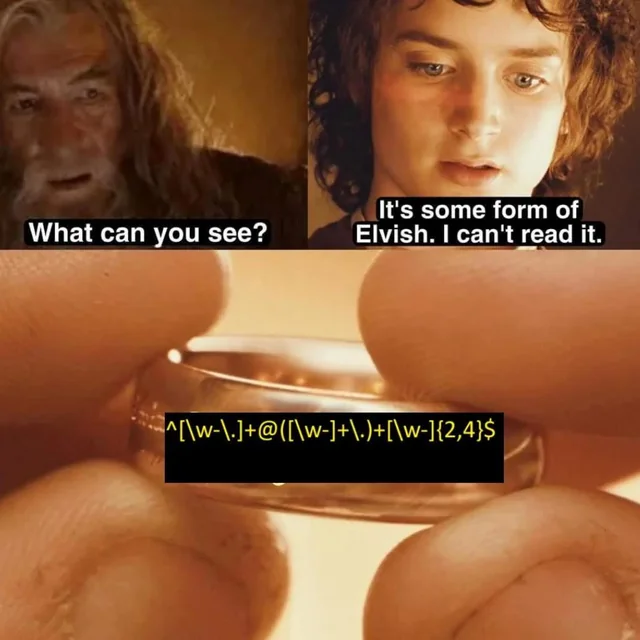 Gandalf asking: What do you see?
Frodo replying: It's some form of Elvish. I can't read it.

Frodo holds a ring with some complicated regex expression.