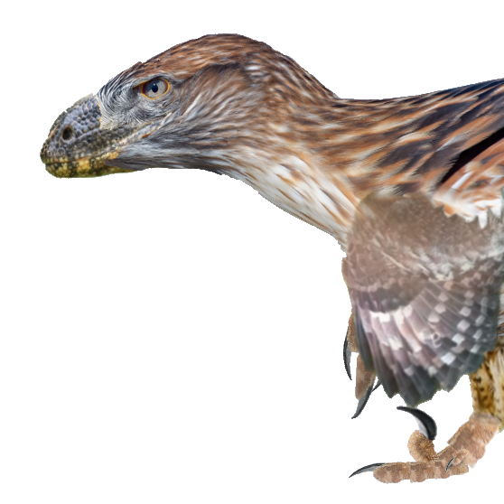 utahraptor